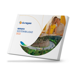 reporte de sostenibilidad 2022