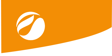 Espíritu emprendedor